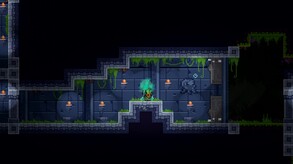 Ver Akaku Forest